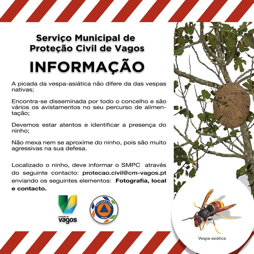 INFORMAÇÃO :: SERVIÇO MUNICIPAL DE PROTEÇÃO CIVIL DE VAGOS
