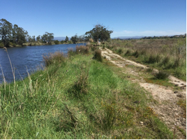 Obra da Ponte Açude do Rio Novo do Príncipe