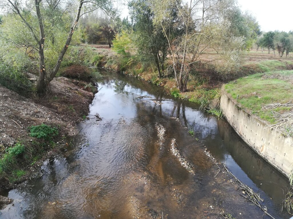 MUNICÍPIO DE ANADIA LIMPA LEITOS DOS RIOS CÉRTIMA E DA SERRA
