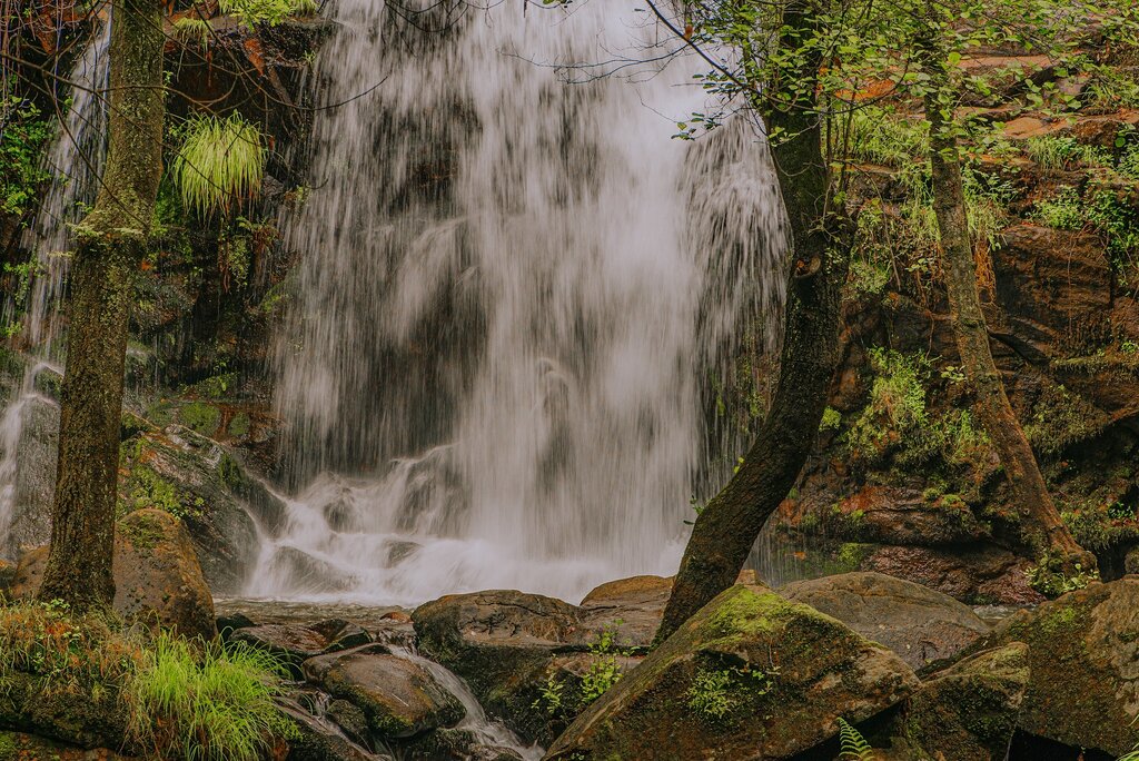 Sever do Vouga Ao Sabor da Ria 