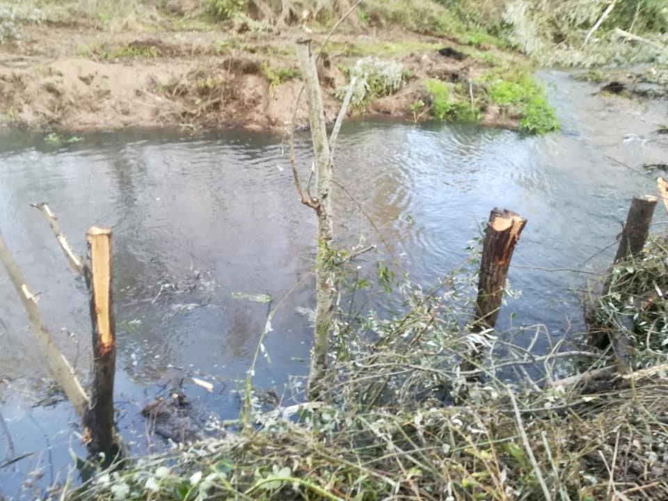 Reabilitação e Valorização Ecológica do Rio Cértima