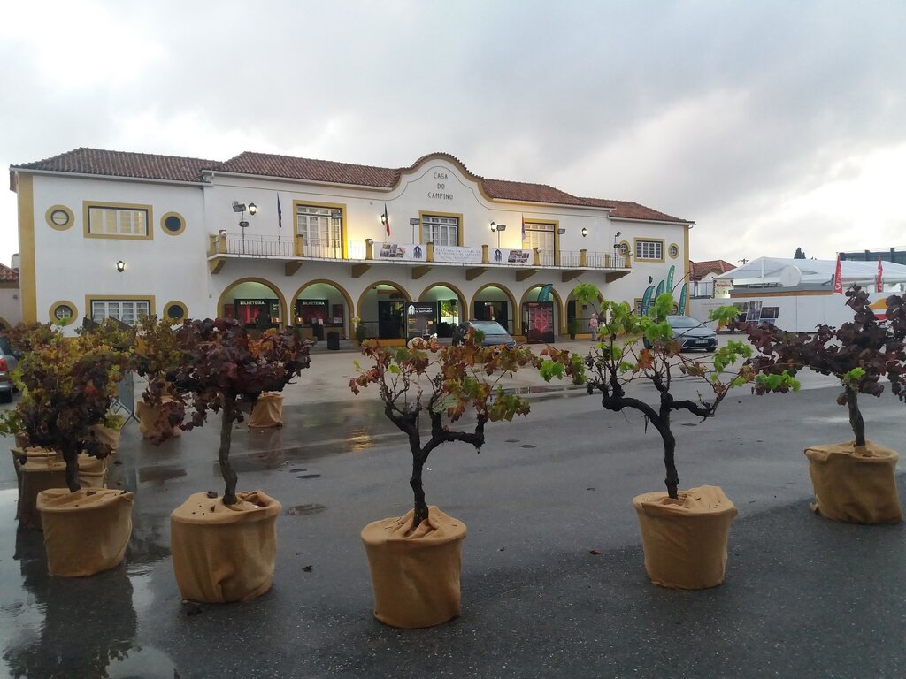 ANADIA EM DESTAQUE NO FESTIVAL NACIONAL DE GASTRONOMIA DE SANTARÉM