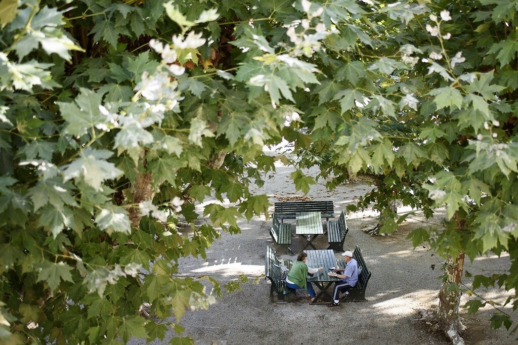 ESTRATÉGIA MUNICIPAL DE ADAPTAÇÃO ÀS ALTERAÇÕES CLIMÁTICAS EM ANADIA