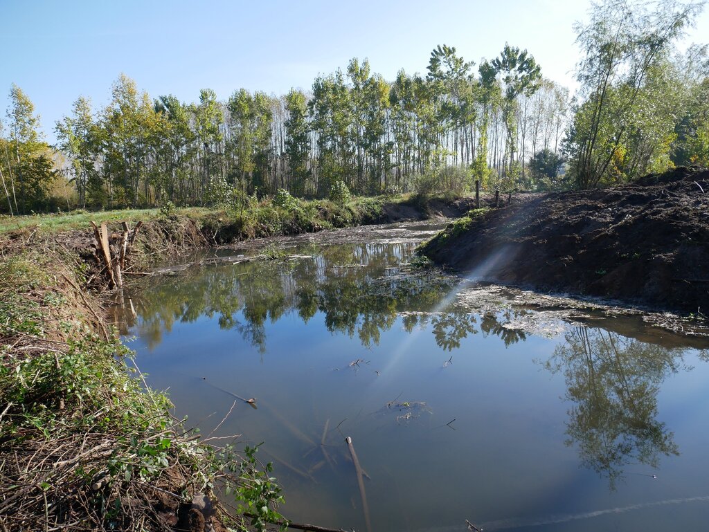 Intervenção no Rio Cértima