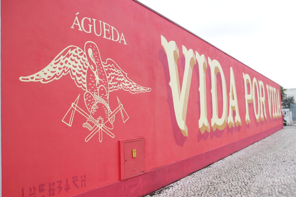 Projeto de Regulamento - Concessão de Regalias Sociais aos Bombeiros Voluntários