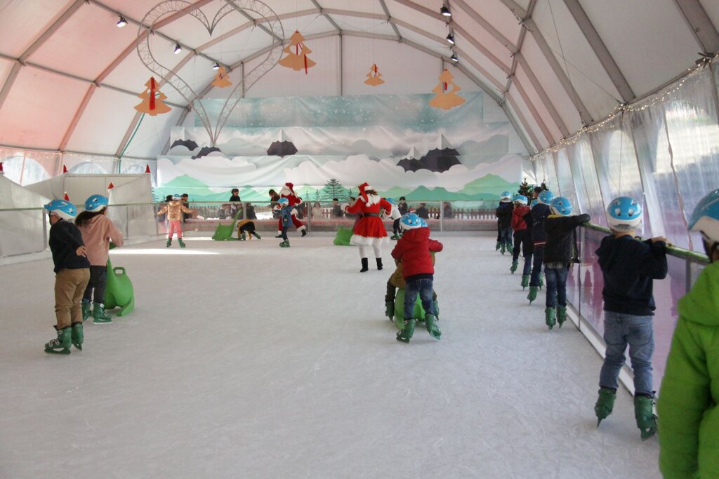 CRIANÇAS DAS ESCOLAS DE ANADIA VISITAM PAI NATAL E “SNOW PARK”
