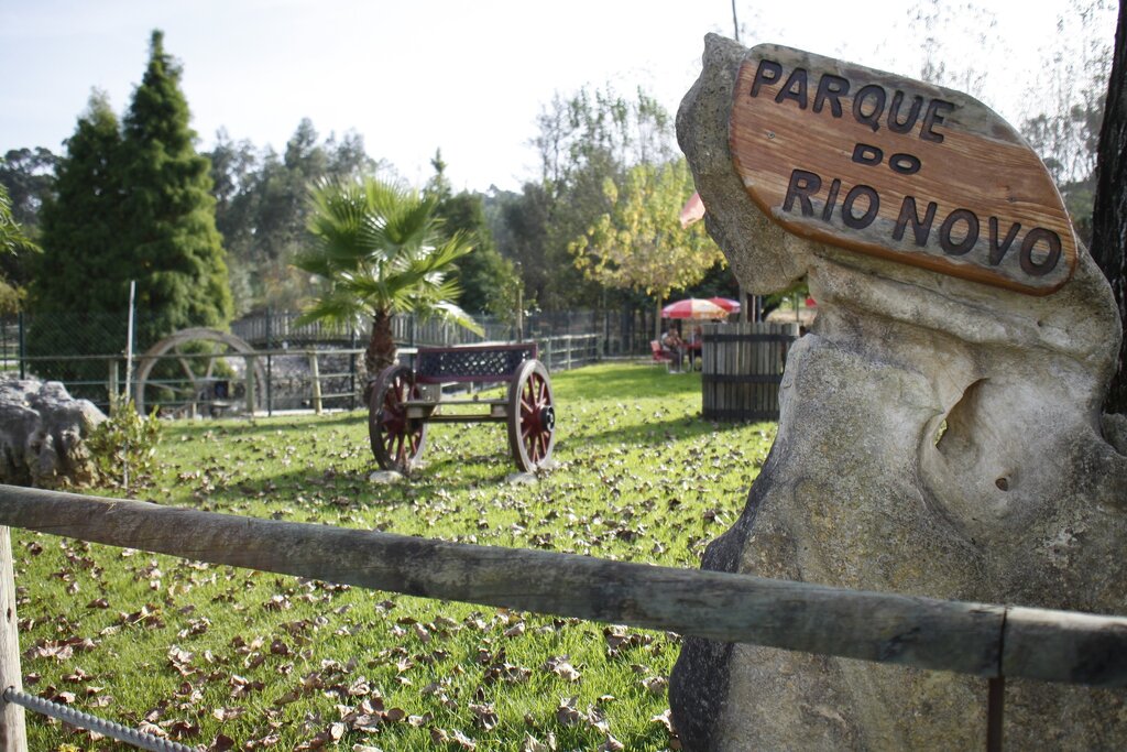 Aprovado estudo urbanístico para zona envolvente do Parque Rio Novo - Mamarrosa