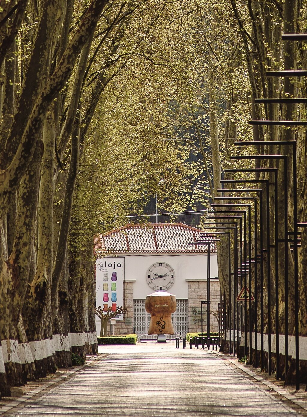 ESPAÇO BAIRRADA ACOLHE SESSÕES “BEST” NA CURIA