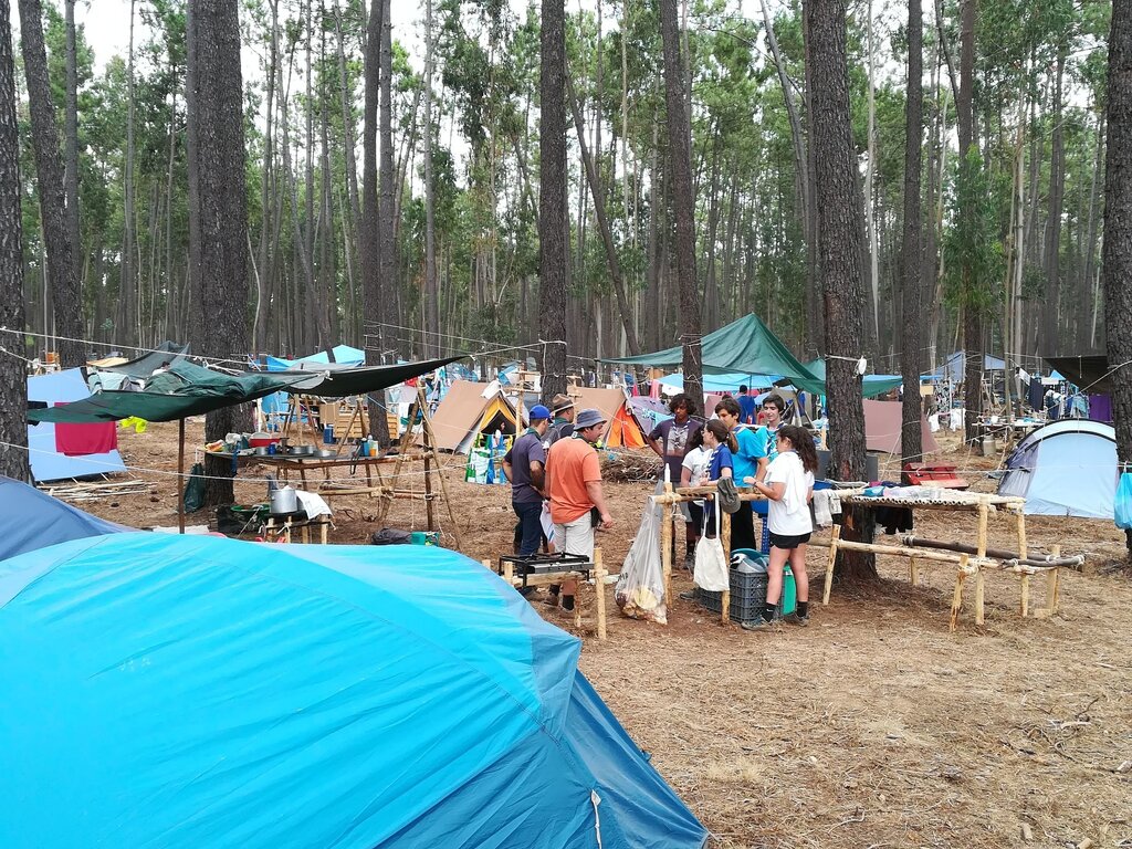 ESCUTEIROS PLANTAM MIL PINHEIROS EM AVELÃS DE CIMA