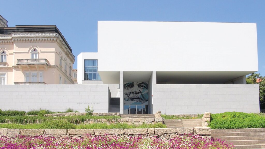 Uma alegria que contagia na Biblioteca Municipal