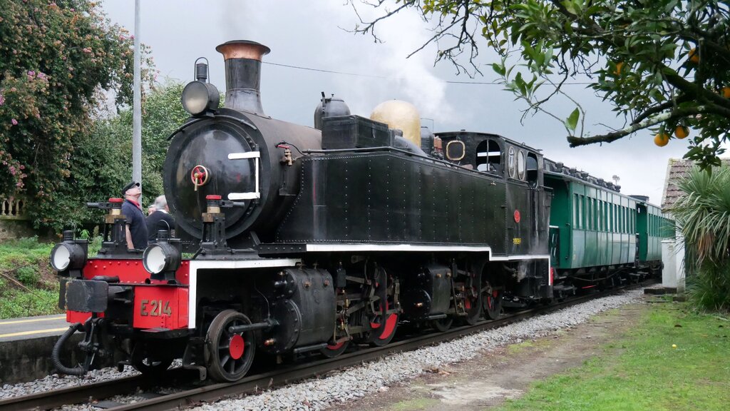 Comboio a vapor regressa à Linha do Vouga no Carnaval