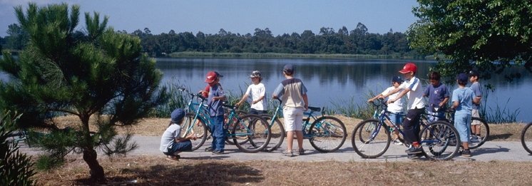 Plano Intermunicipal de Mobilidade e Transportes da Região de Aveiro