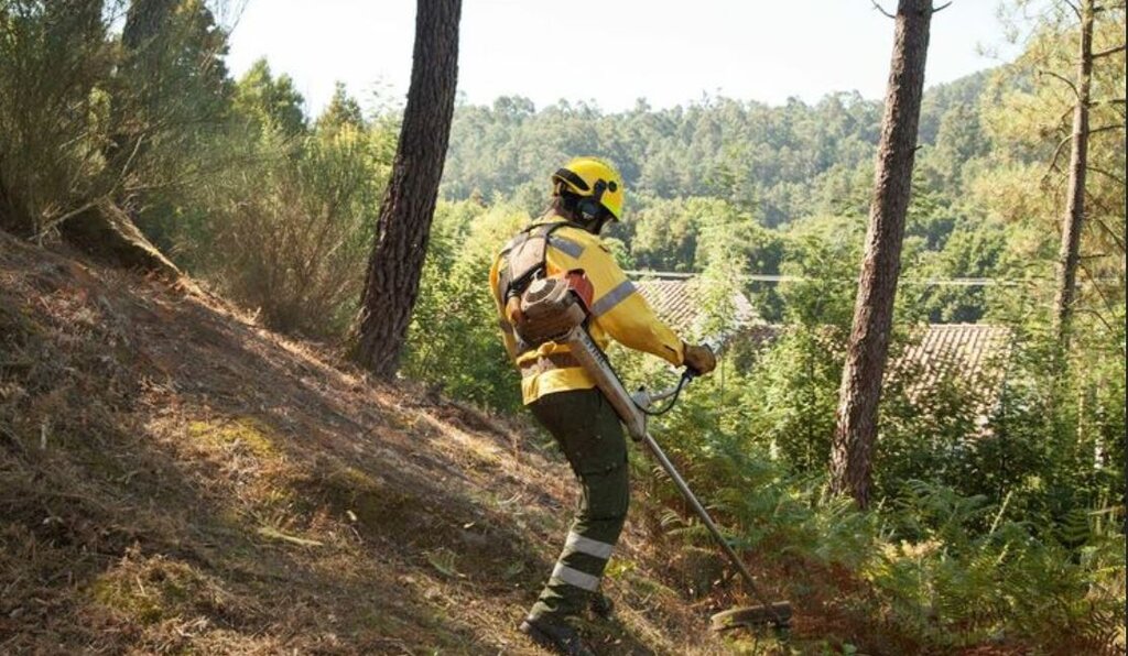 Proprietários têm até 31 de maio para fazer a limpeza dos terrenos