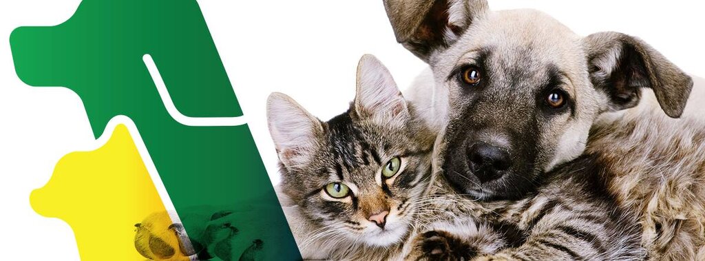 GABINETE VETERINÁRIO MUNICIPAL REABRE COM ALTERAÇÕES AO FUNCIONAMENTO