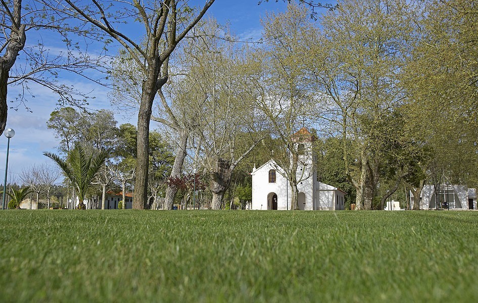 VERBAS DAS FESTAS DO MUNICÍPIO ENCAMINHADAS  PARA AQUISIÇÃO DE TESTES E DE EPI’S