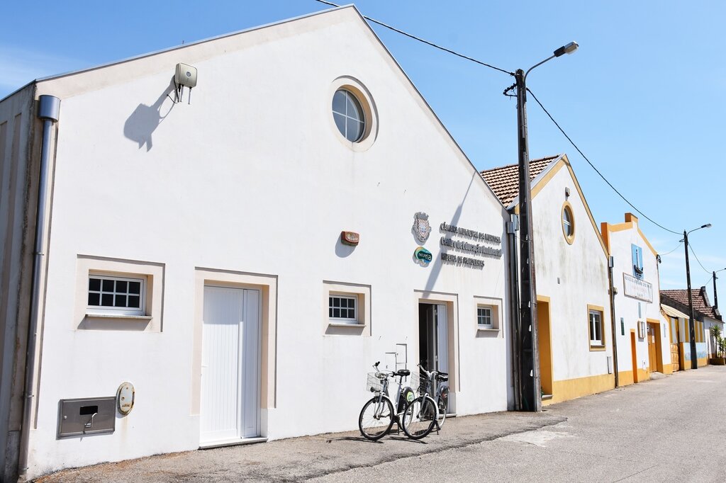 MUNICÍPIO DA MURTOSA DISPONIBILIZA BICICLETAS GRATUITAMENTE DURANTE O VERÃO