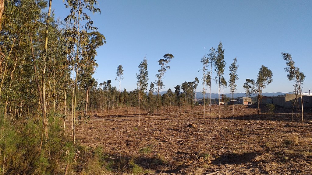 Plano Municipal de Defesa da Floresta Contra Incêndios em Discussão Pública