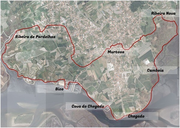 PERCURSOS CICLÁVEIS E PEDESTRES DO CONCELHO DA MURTOSA