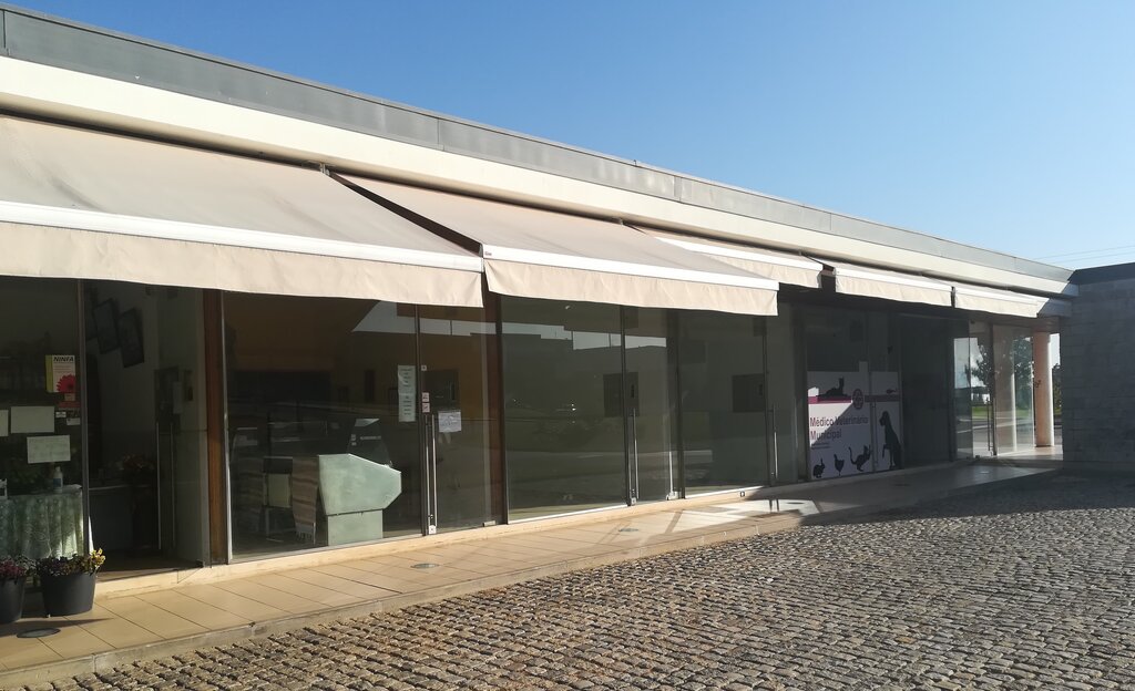 Hasta pública para arrendar lojas do Mercado de Anadia