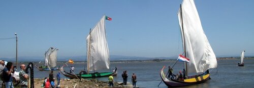 Turismo e economia da Região em destaque no “Ria de Aveiro weekend”