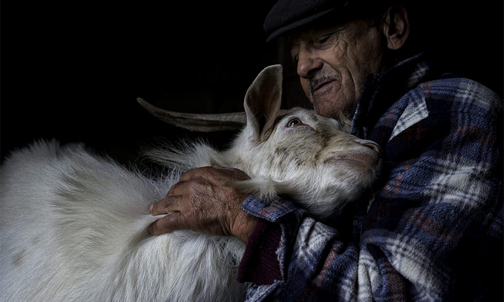  JORGE BACELAR DISTINGUIDO PELA PLATAFORMA "AGORA IMAGES"