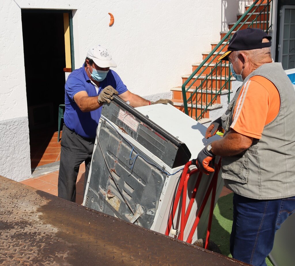 Número verde para recolha de monos: 800 207 081