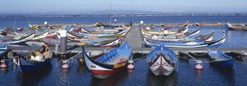 Candidaturas abertas ao programa do Grupo de Ação Costeira da Região de Aveiro