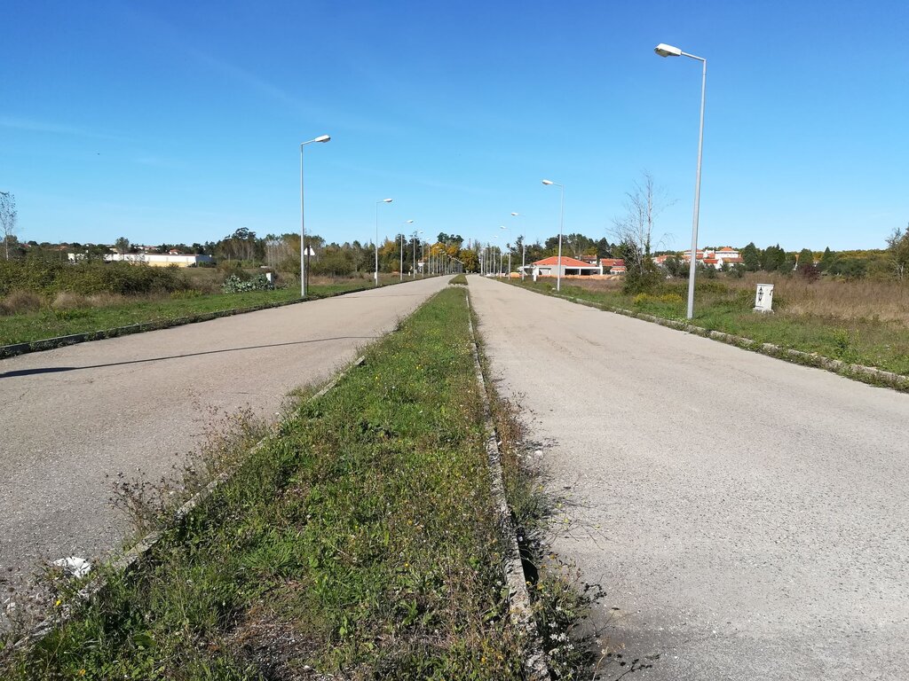 Município avança com requalificação das avenidas da Curia