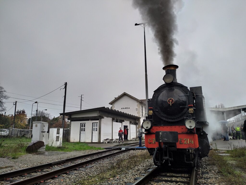 Comboio histórico do Vouga é referência internacional