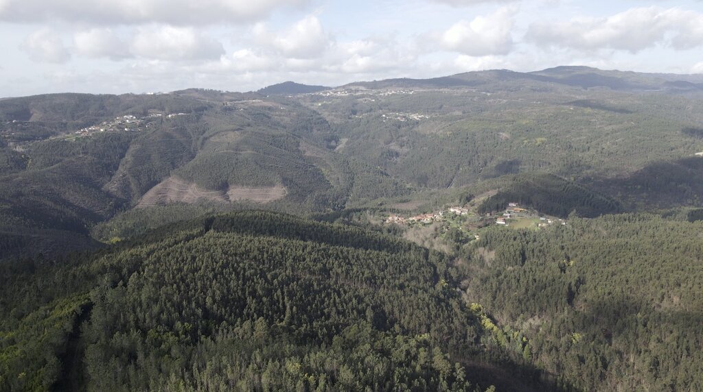 Plano Municipal de Defesa da Floresta Contra Incêndios de Águeda está em consulta pública