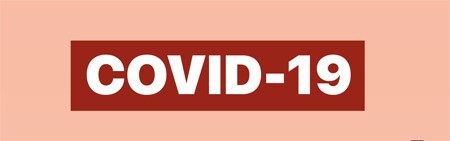 COVID 19 - Violência doméstica 