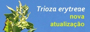 NOVO EDITAL - CITRINOS INFESTADOS COM A PSILA AFRICANA DOS CITRINOS - Trioza erytreae (Del Guerci...