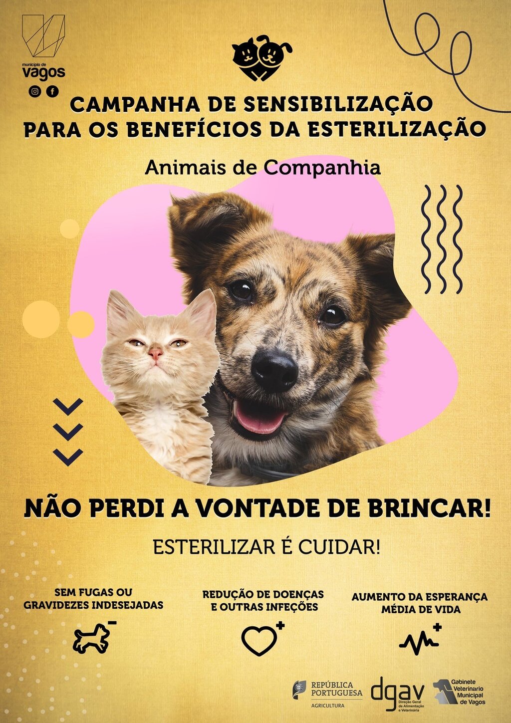 CAMPANHA DE SENSIBILIZAÇÃO PARA OS BENEFÍCIOS DA ESTERILIZAÇÃO DE ANIMAIS DE COMPANHIA.   