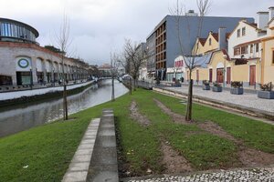 PLANTADAS 19 NOVAS ÁRVORES NA CIDADE