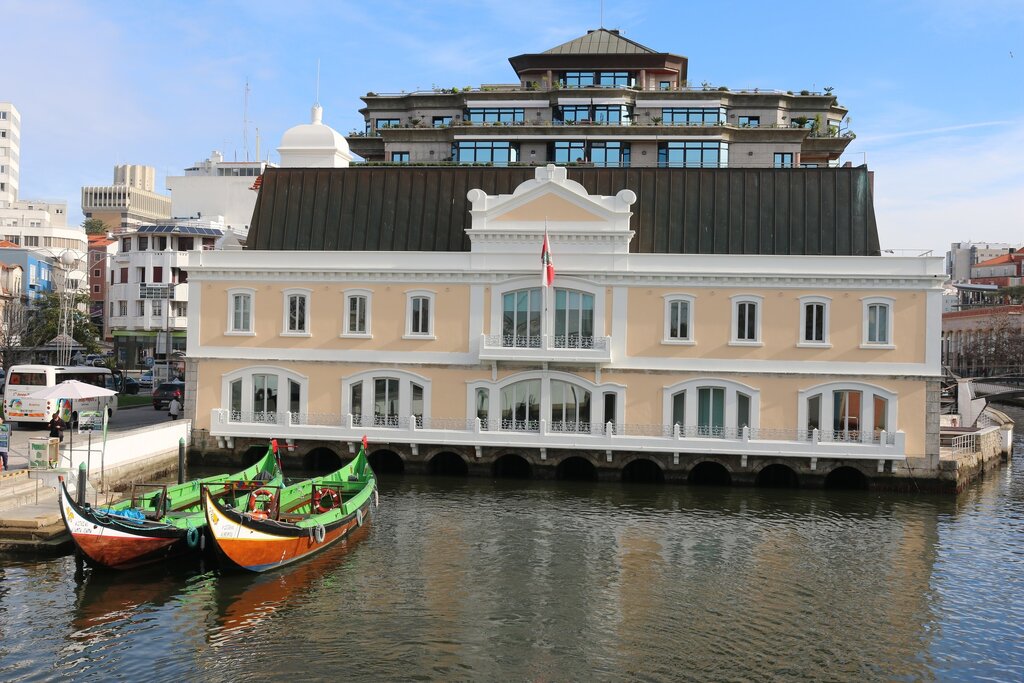 ASSEMBLEIA MUNICIPAL DE AVEIRO REALIZA-SE EM FORMATO ONLINE