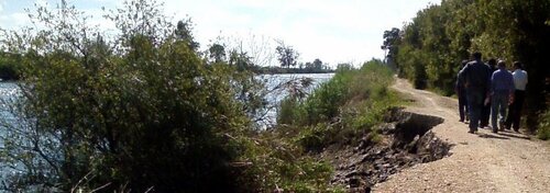 Adjudicada empreitada de Reparação dos Rombos do Baixo Vouga Lagunar