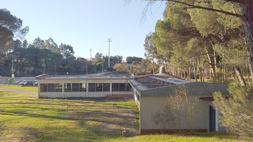 Iniciada remoção de amianto na Escola Secundária de Oliveira do Bairro