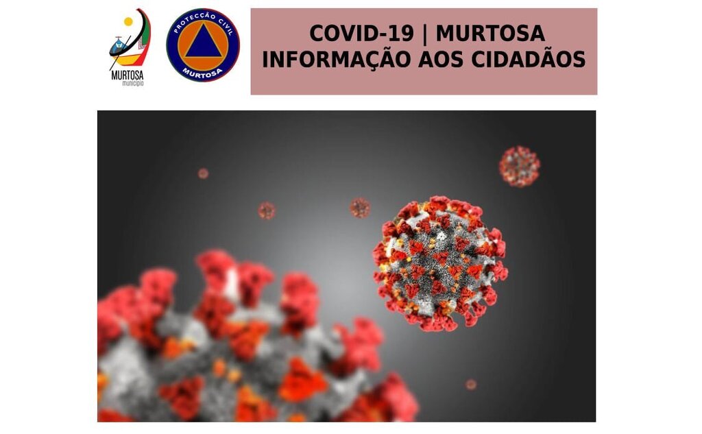 RÁCIOS DE INFEÇÃO vs NÚMEROS ABSOLUTOS - ESCLARECIMENTO