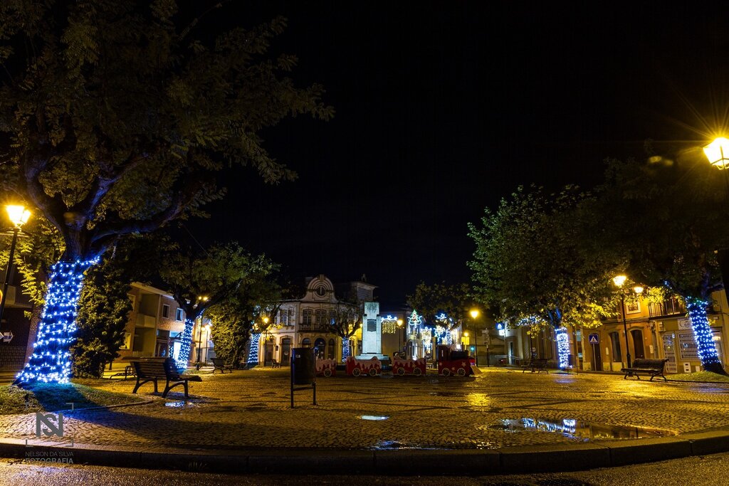 ILUMINAÇÃO NATALÍCIA