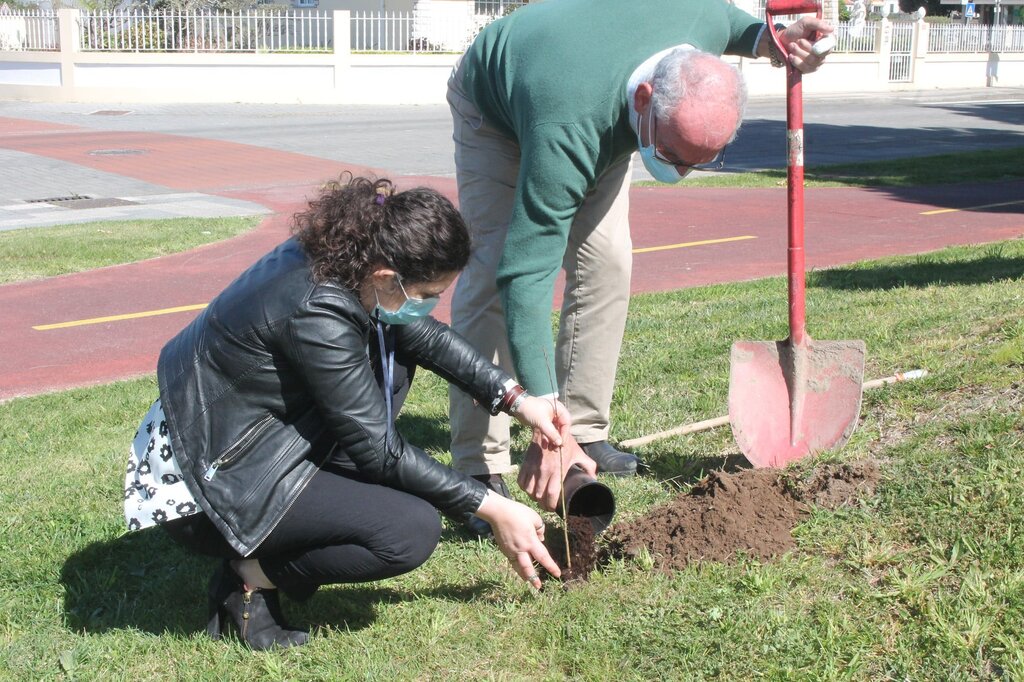JARDIM DA OFICINA DE ARTES RECEBEU UM CARVALHO ALVARINHO