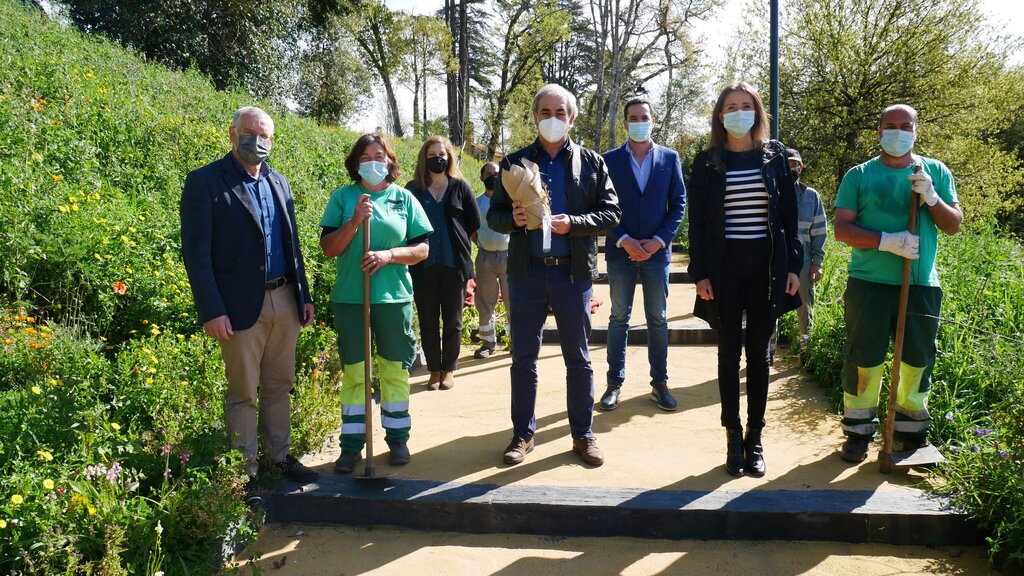 Câmara de Águeda plantou 7.150 árvores