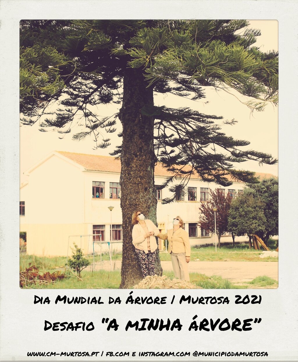 ÁLBUM FOTOGRÁFICO DO DESAFIO "A MINHA ÁRVORE"