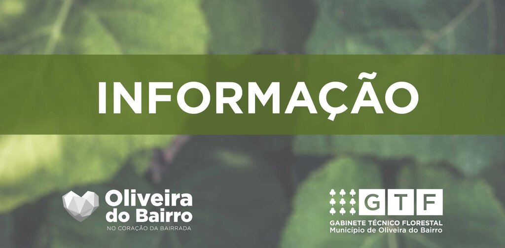 Queimas de matos cortados e amontoados e de sobrantes de exploração 