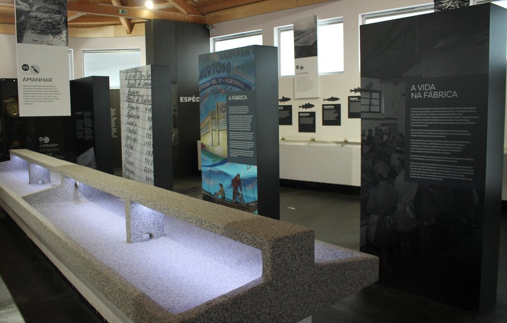 COMUR - MUSEU MUNICIPAL DA MURTOSA REABRE AO PÚBLICO COM RESTRIÇÕES DE FUNCIONAMENTO