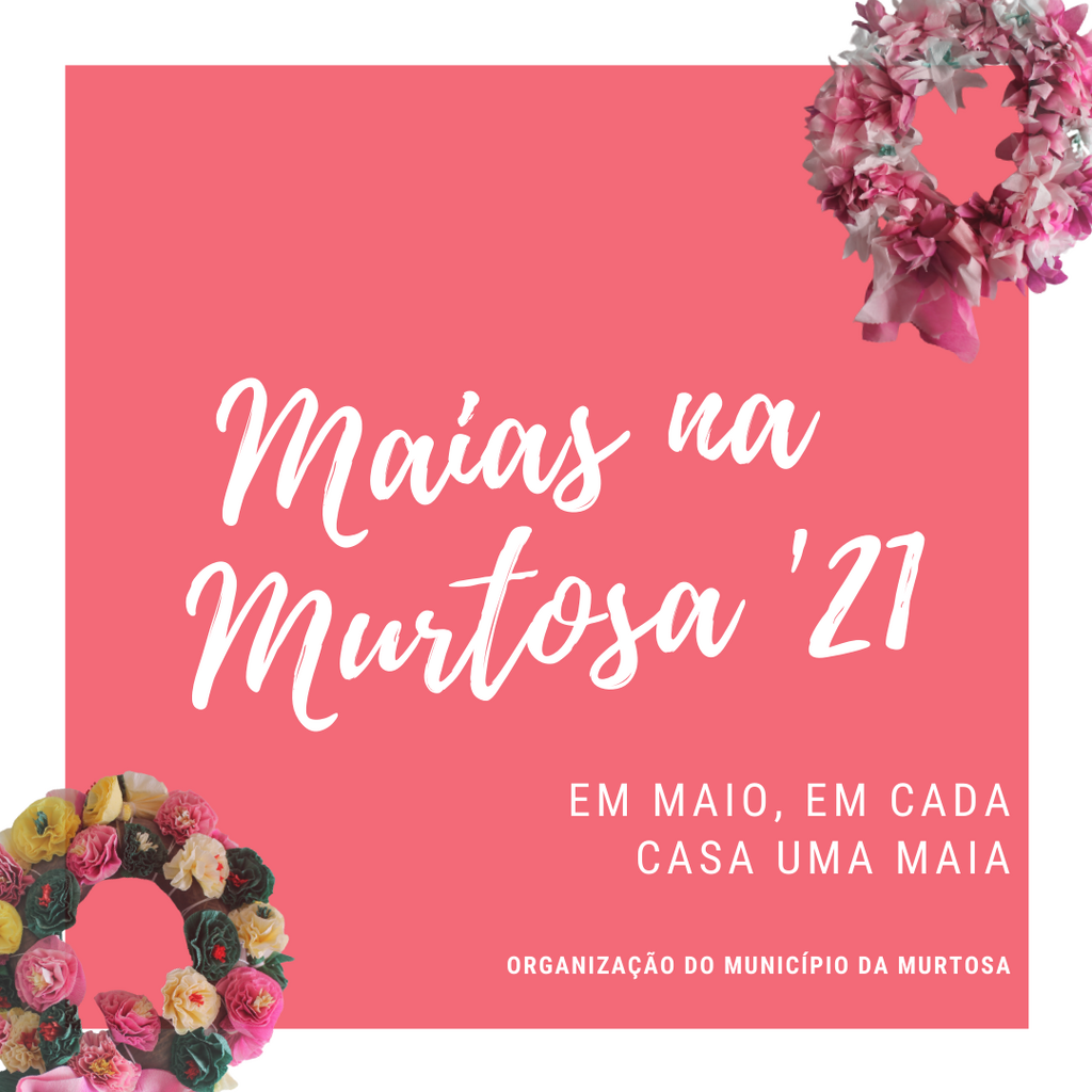 “MAIAS NA MURTOSA” VALORIZA E DIVULGA TRADIÇÃO MURTOSEIRA