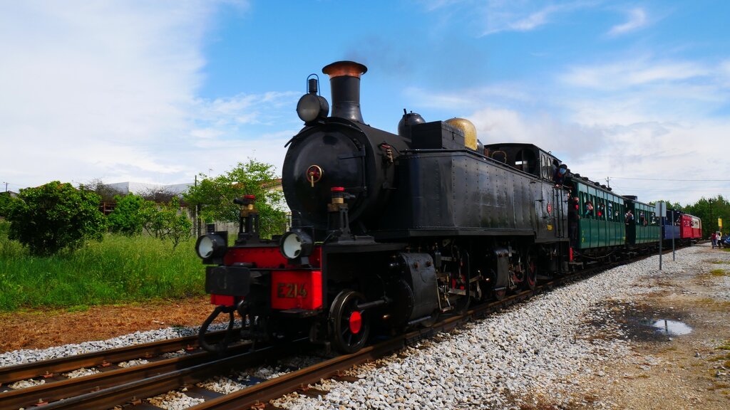 Comboio histórico do Vouga realiza quatro viagens este mês