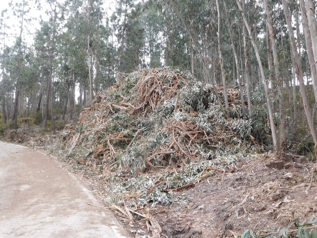 Aviso: remoção de sobrantes de exploração