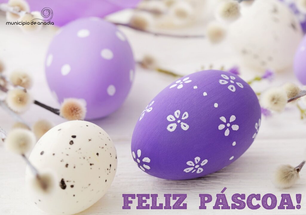 Mensagem da Presidente da Câmara Municipal de Anadia