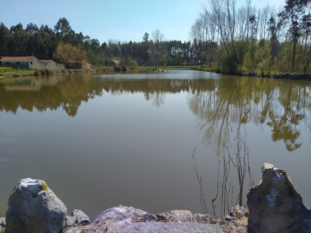 Manutenção da lagoa de Chipar de Cima
