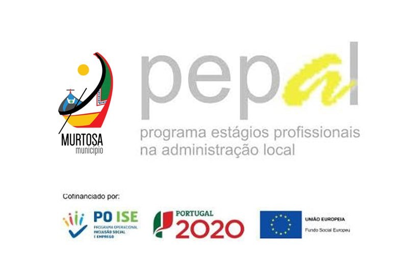 ABERTURA DE CANDIDATURAS PARA ESTÁGIOS PROFISSIONAIS AO ABRIGO DO PEPAL